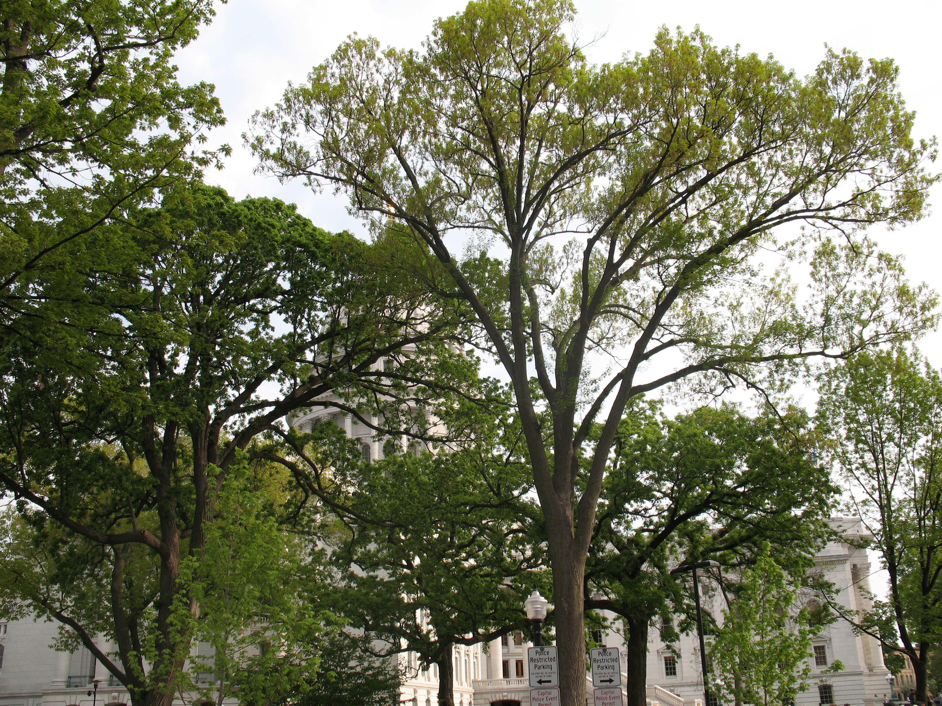 IMG_1080.JPG