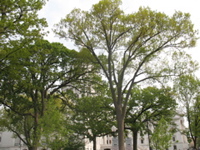 IMG_1080.JPG