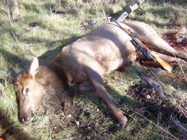 Hunting 2007 002