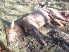Hunting 2007 002