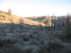 IMG_0734.JPG